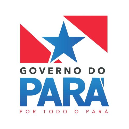 Governo do Pará